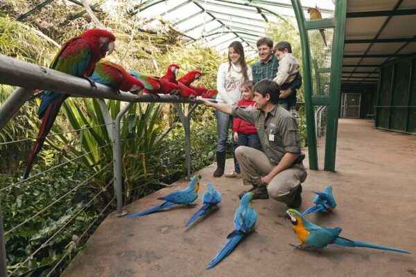 Cuatro Parques Vacaciones de Verano - Imagen 5