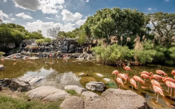 Cuatro Parques Vacaciones de Verano - Imagen 4