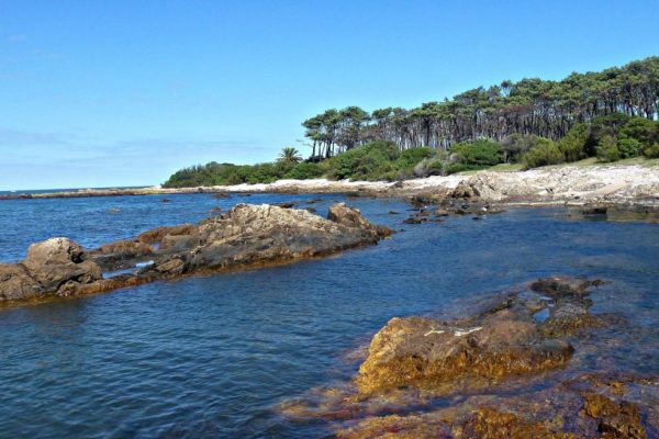 VERANO ISLA GORRITI - Imagen 4