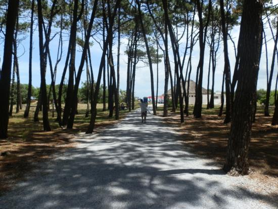 VERANO ISLA GORRITI - Imagen 2