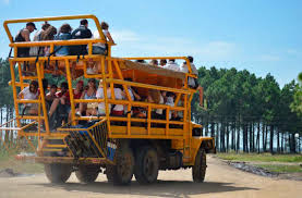 🌅 ¡Descubre la magia de Cabo Polonio y La Paloma con nosotros! 🌊 - Imagen 4