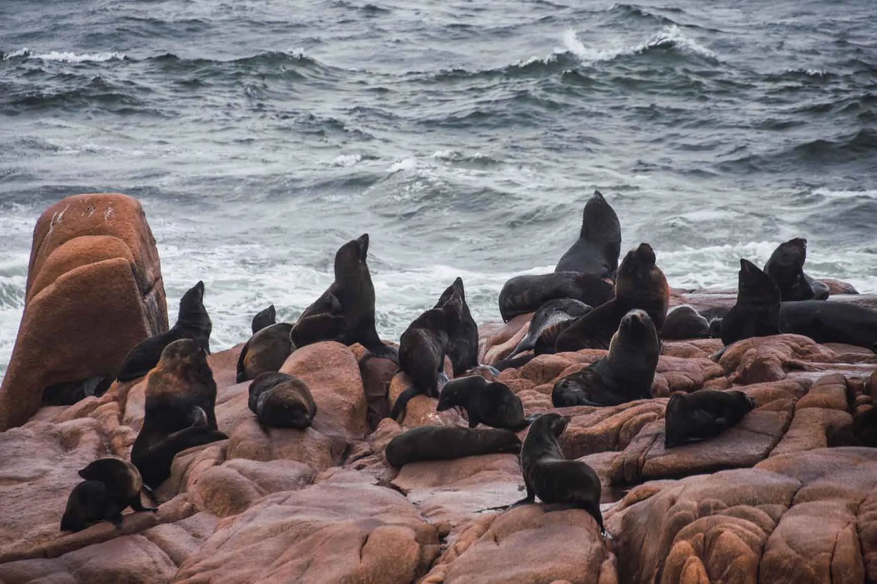 🌅 ¡Descubre la magia de Cabo Polonio y La Paloma con nosotros! 🌊 - Imagen 3